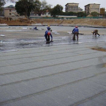 湛江雷州化工储罐防腐施工工程